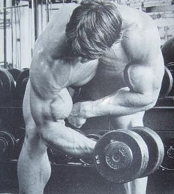 Arnold Schwarzenegger Concentration Dumbbell Curl