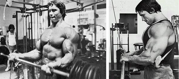 Arnold Schwarzenegger Bicep Curls - Arnold Schwarzenegger Tricep Push Downs