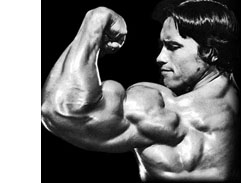 arnold-schwarzenegger-biceps.jpg