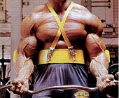 Straight Bar VS. EZ Curl Bar